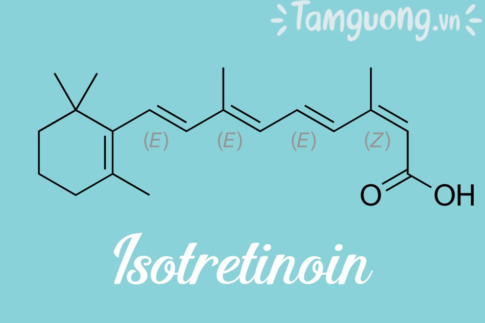 Thành phần thuốc trị mụn trứng cá Myspa: Isotretinoin