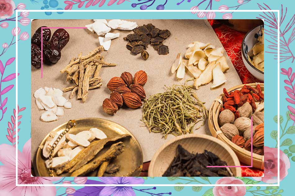 Thuốc bắc trị mụn là gì?