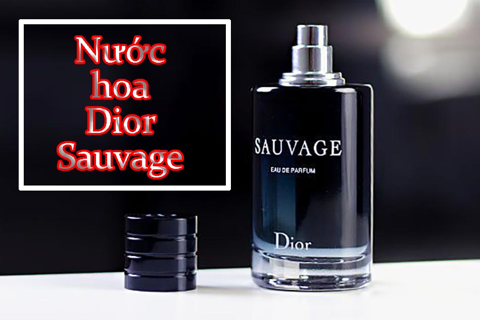 Nước Hoa Nam Dior Sauvage Eau De Parfum  Vilip Shop  Mỹ phẩm chính hãng