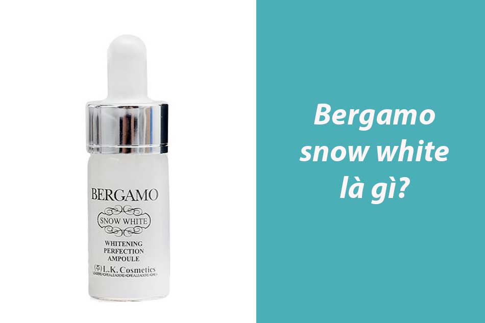 Bergamo snow white là gì?