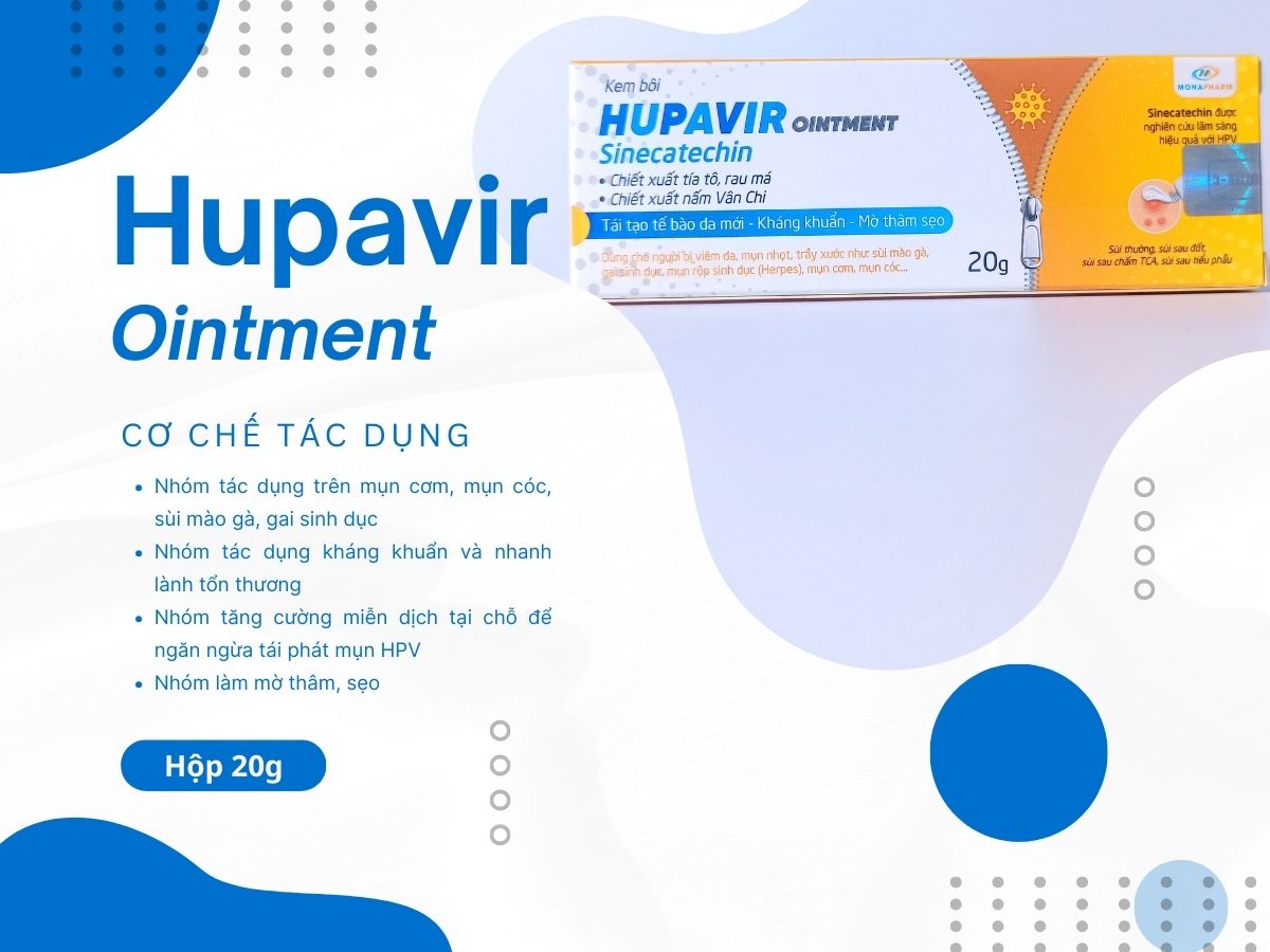 Kem bôi Hupavir Ointment Sinecatechin